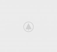 wood-gallery-placeholder-5 wood-gallery-placeholder-5