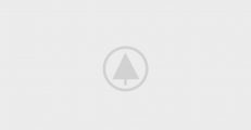 wood-gallery-placeholder-5 wood-gallery-placeholder-5