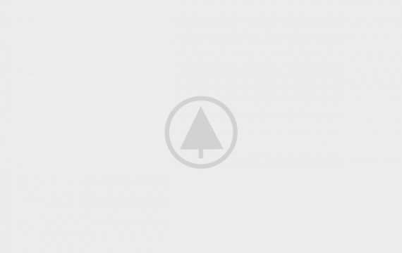 wood-gallery-placeholder-5 wood-gallery-placeholder-5